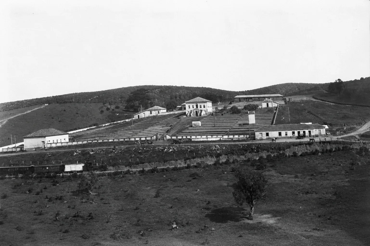 Antigos terreiros de café da Fazenda Santa Barbara por volta de 1930
